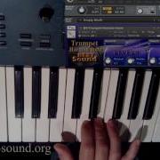 Best Sound Vst Trumpet Harmon Muted Sound Library For Kontakt