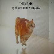 Песня Ты Гы Дык Из Domi Show