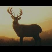 Red Dead Redemption 2 Dreams Of Deer Extended Segment Of Soundtrack