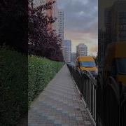 Птица Поёт Цветок Благоухает