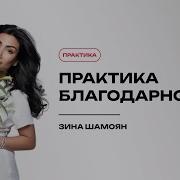 Практика Благодарности Перед Сном Зина Шамоян