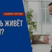 Любовь Живёт Три Года Это Срок