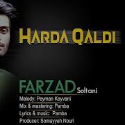 Farzad Soltani
