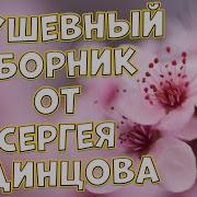 Дискотека От Сергея Одинцова На Целый День