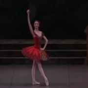 Don Quixote Svetlana Zakharova And Andrei Uvarov