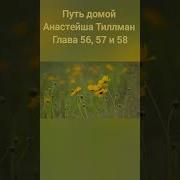 Путь Домой Анастейша Тиллман Глава 56