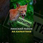 Новости Про Вирусы