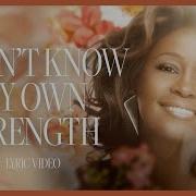 Whitney Houston I Didn T Know My Own Strength Lyrics