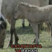 Маннак Талба Киэhэ5Э