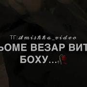 Са Наха Хьо Везар Вита Бохуш
