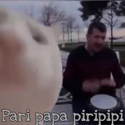 Pari Papa Pipipi