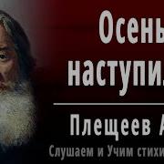 Осень Наступила Высохли Цветы