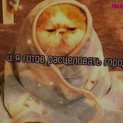 Футажи Из Тик Тока