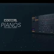 Essential Pianos Image Line Flex Preset Bank