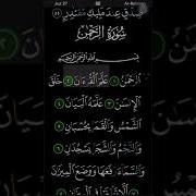 Сура سورة الرحمن الشيخ ياسر الدوسري