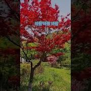 바람바람바람
