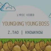 Z Tao Young King Young Boss