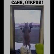 Саня Выходи