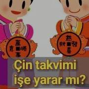 Cin Teqvimi Ile Hamilelik