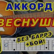 Веснушки Аккорды Nю Юрий Николаенко Разбор Песни На Гитаре Бой Текст