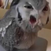 Прикол Ээээй