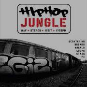 Hip Hop Jungle Sample Pack