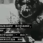 Нас Называют Ворами Убийцами