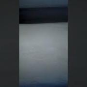 Озвучка Собаки Пошли Гулять