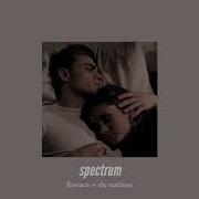 Spectrum Florence And The Machine Slowed