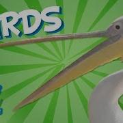 To Birds