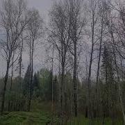 Мелодия Красоты Природы