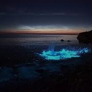 Night Light Beach