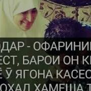 Дилам Танге Модар Хеле Бароят Эрони