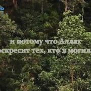Красивое Чтение Корана Читает Хатим Фарид