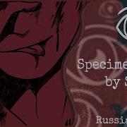 Specimen Girl Rus