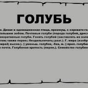Голубь Почтовый Где Ты Летаешь Голубь Почтовый Что О Ней Знаешь