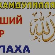 Альхамдулиллях Аллах Дина Алиева Другие Нашиды