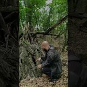 В Медвежьей Берлоге