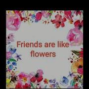 Friends Are A Garden Of Flowers