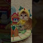 Прикол Курочка Ряба