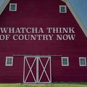 Whatcha Think Of Country Now