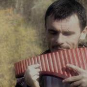 Одинокая Флейта Осенние Листья
