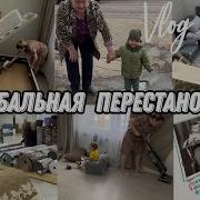 Аленушка Лайф
