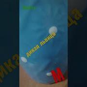 Губка Боб Поет Alex Rus Дикая Львица