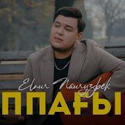Елнур Наурызбек Аппагым