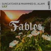 Mhammed El Alami Lily