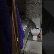 Что Ты Подглядываешь