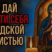 Кричит Из Окна Тишина