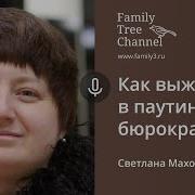 Светлана Махова Как Выжить В Пучине Бюрократии Family Tree Channel