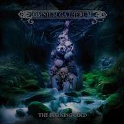 Rest In Your Heart Omnium Gatherum